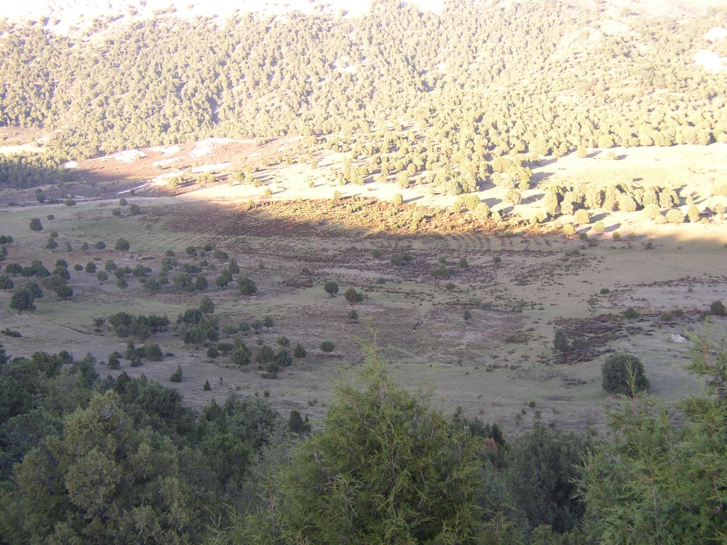 vista aerea del cementerio 2006